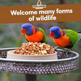 Trailmark Naturals bulk peanuts for regular feeding stations.