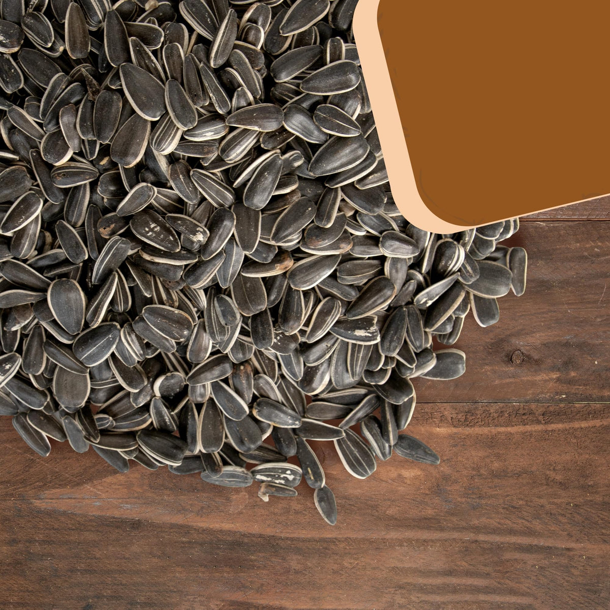 Backyard birds attracted to Trailmark Naturals striped sunflower seeds at feeder.