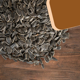 Backyard birds attracted to Trailmark Naturals striped sunflower seeds at feeder.