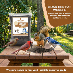 Trailmark Naturals USA-sourced seeds displayed in a bundle for consistency.