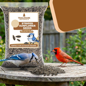 Trailmark Naturals striped sunflower seeds at feeder attracting a range of birds.
