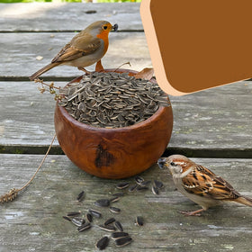 USA-grown Trailmark Naturals striped sunflower seeds shelled for easy feeding.