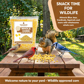 Trailmark Naturals whole corn for deer feed and wildlife plots.