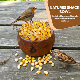 Trailmark Naturals whole corn as squirrel snack in the yard.