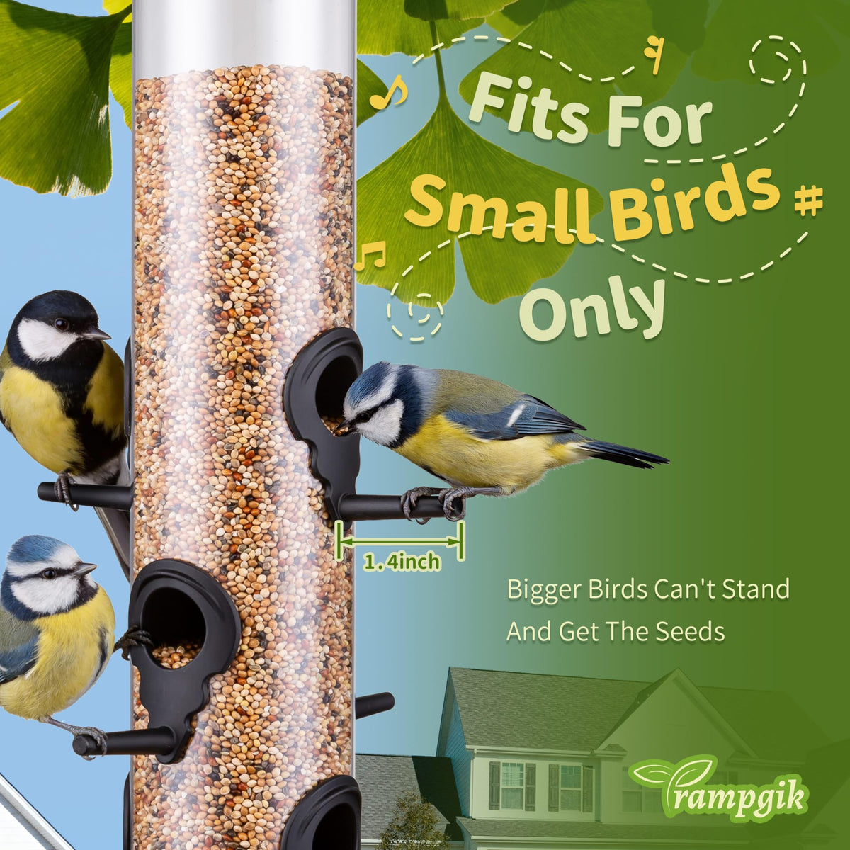 TrampgiK 1.4-inch perch supports small birds like chickadees