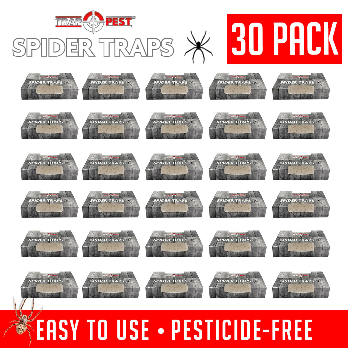 TRAP A PEST bug traps indoors show effective catching of spiders and roaches