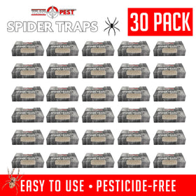 TRAP A PEST bug traps indoors show effective catching of spiders and roaches
