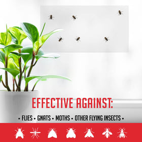 TRAP A PEST easy-apply window trap demonstrated on a clean glass surface