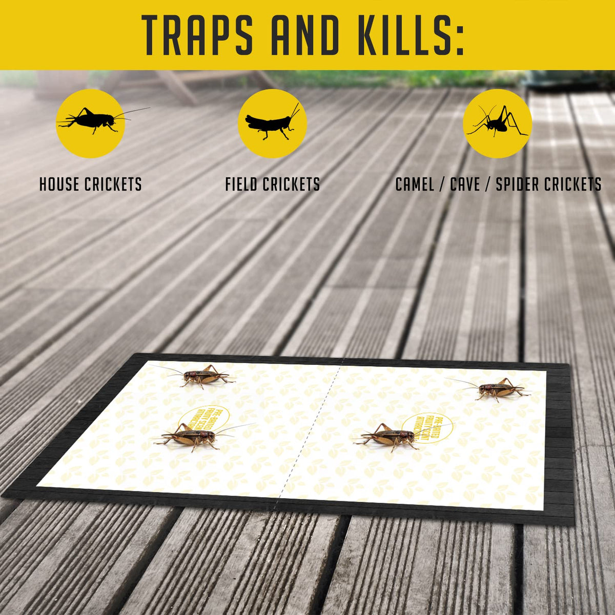 TRAP A PEST easy-to-use cricket traps placed floor glue side up.