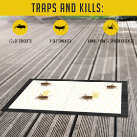 TRAP A PEST easy-to-use cricket traps placed floor glue side up.