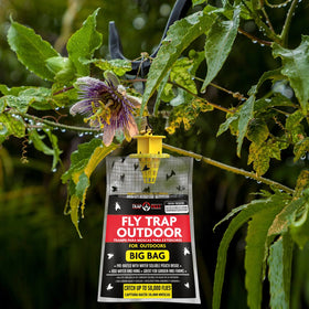 TRAP A PEST easy-to-use setup: cut, fill line, hang and go.