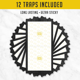 TRAP A PEST extra-large glue trap with fruity scent attracts crickets and captures.