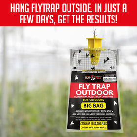 TRAP A PEST fly trap bags outdoor hanging setup for gatherings.