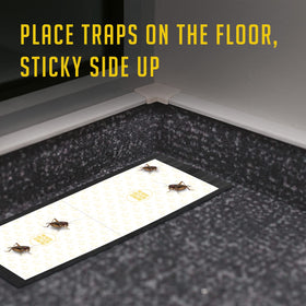 TRAP A PEST fruity attractant lure helps draw crickets toward the traps.
