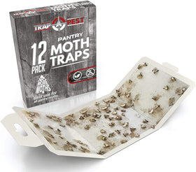 TRAP A PEST glue trap being peeled and set in a pantry for easy use.