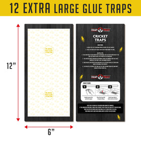 TRAP A PEST indoor bug trap pack for homes and small spaces.