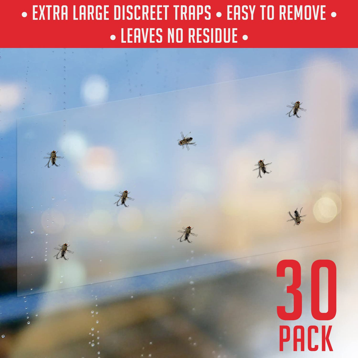 TRAP A PEST non-toxic indoor traps shown on a window pane