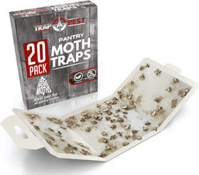 TRAP A PEST glue-adhesive trap attracts pantry moths with pheromone lure.