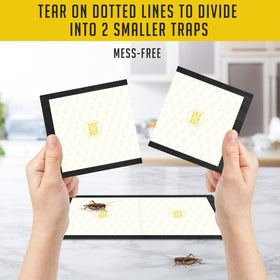 TRAP A PEST pre-baited traps with fruity attractant lure crickets.