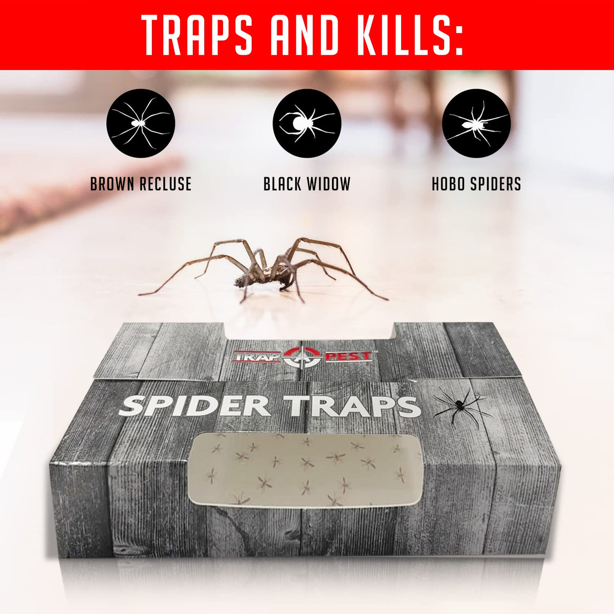 TRAP A PEST pre-baited ultra sticky glue traps ready to attract and catch pests