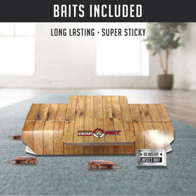 TRAP A PEST roach traps indoor 18-pack provides long-lasting supply for ongoing control.