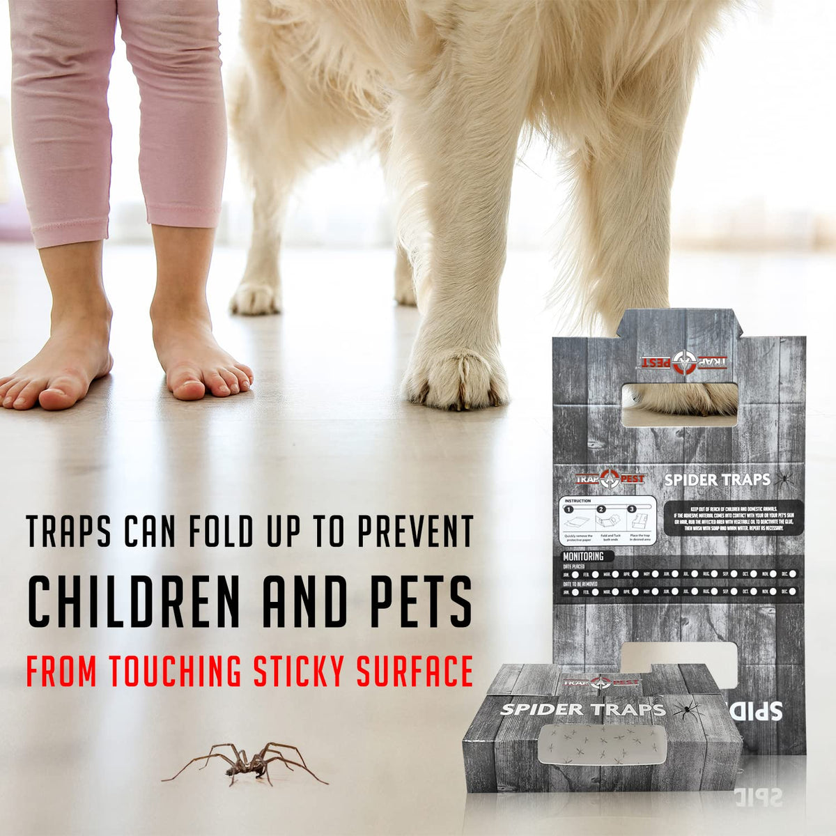 TRAP A PEST safe non-toxic spider traps ideal for homes with families