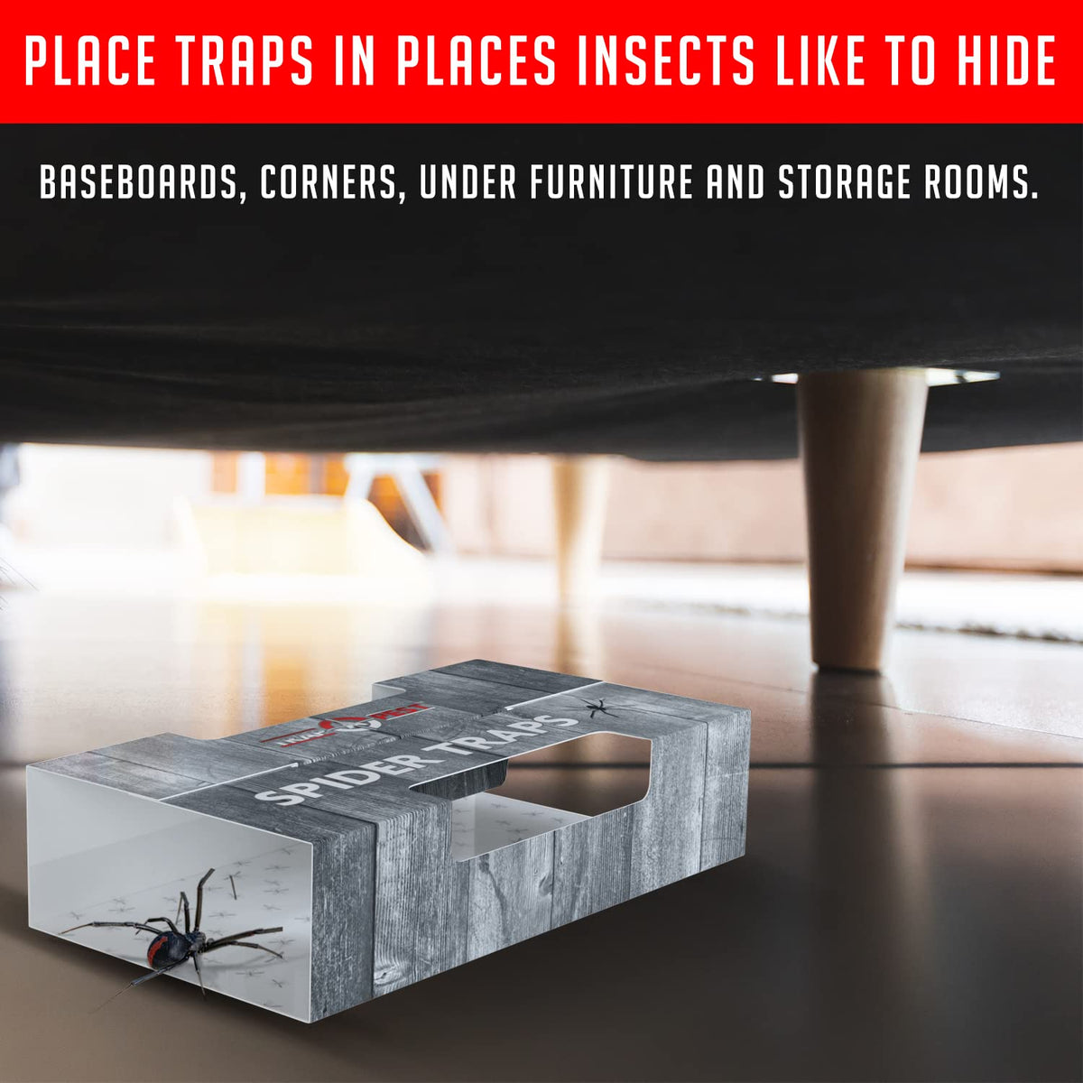 TRAP A PEST spider traps indoor packaging displays 30 traps per pack for coverage