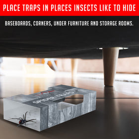 TRAP A PEST spider traps indoor packaging displays 30 traps per pack for coverage