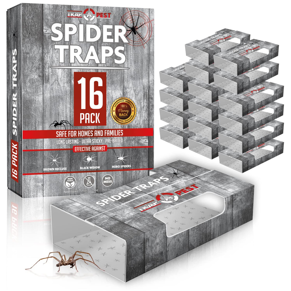 TRAP A PEST spider traps on the floor with ultra-sticky glue for quick captures.