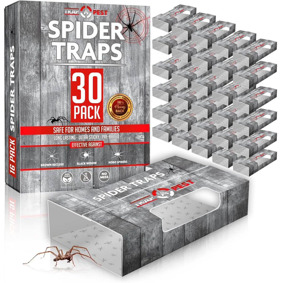 TRAP A PEST spider traps inside wall placement demonstrate floor-level capture of spiders