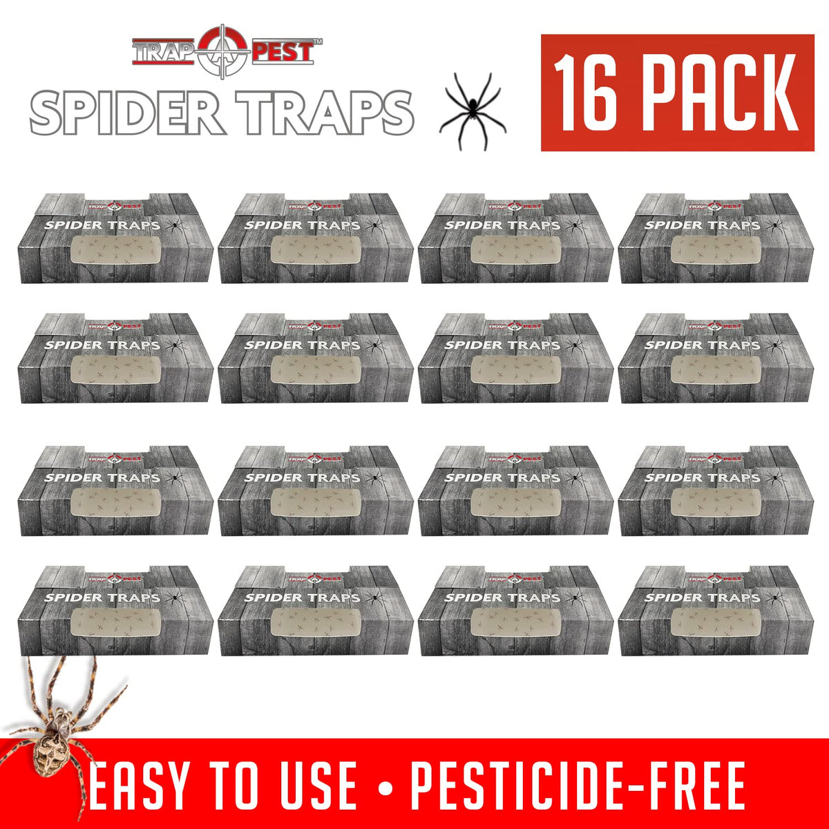 TRAP A PEST non-toxic indoor traps for safe pest control.