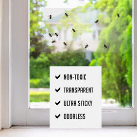 TRAP A PEST indoor-fly-traps, transparent and unobtrusive on windows