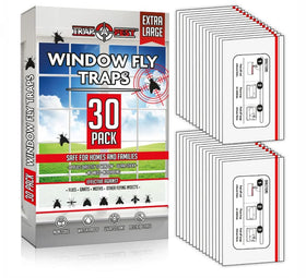 TRAP A PEST Window Fly Traps visible on glass, odorless and safe for indoor use