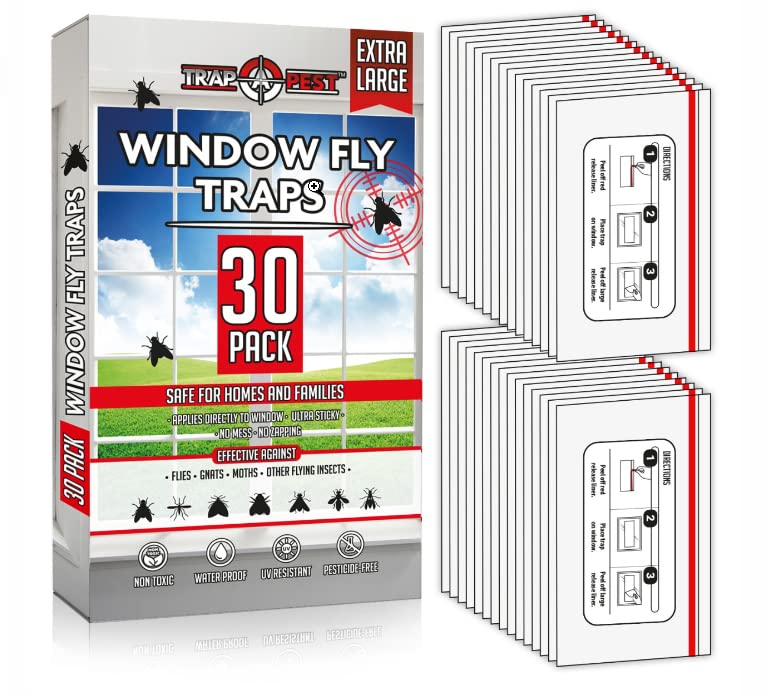 TRAP A PEST Window Fly Traps visible on glass, odorless and safe for indoor use