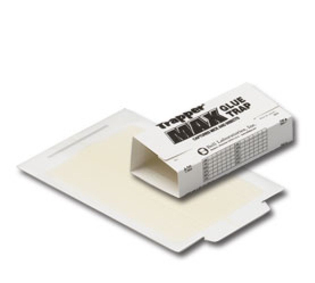 Trapper Max 36-glue-board trap with large capture area for mice and insects