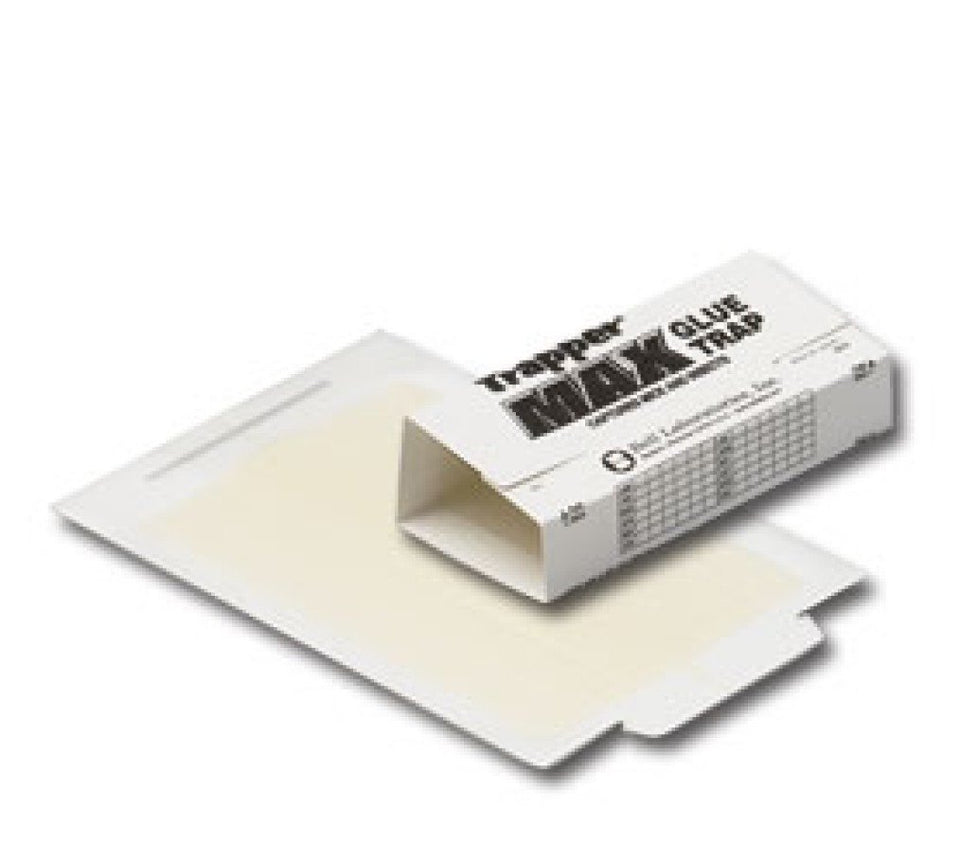 Trapper Max glue boards image with 12 scented traps for mice and pests