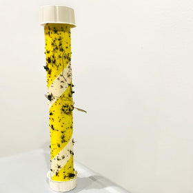 Trappify 90-Day Durable Fly Stick demonstrated for long-lasting use.