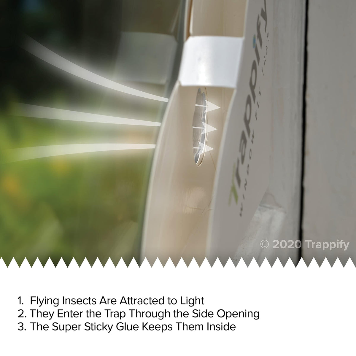 Trappify fly trap with double-strength adhesive ensuring longer-lasting protection indoors.