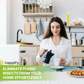 Trappify gnat trap reduces pest activity around plants and high-traffic spaces.