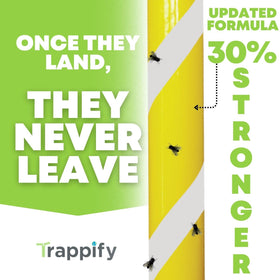 Trappify Gnat Trap in garden highlighting indoor-outdoor versatility.