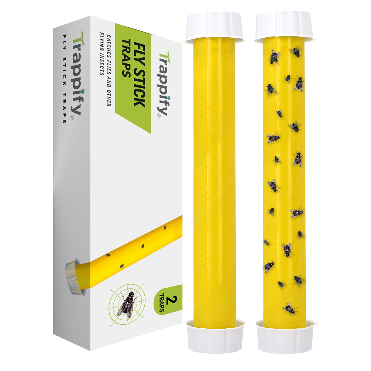 Trappify hanging fly trap cup bait attracts fruit flies for quick capture.