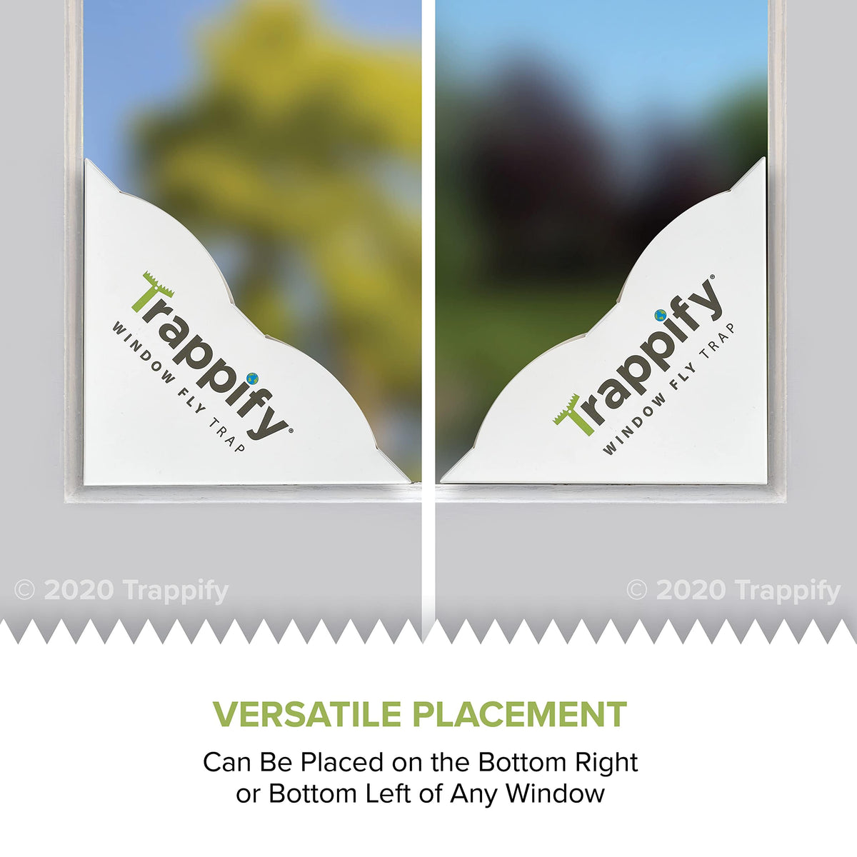 Trappify indoor use promotes cleaner living spaces by capturing flying insects.