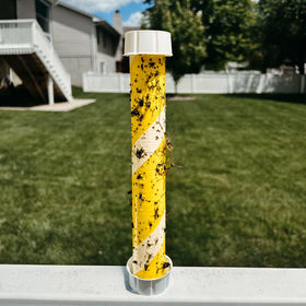 Trappify Porch-Patio-Garden Use for versatile outdoor pest management