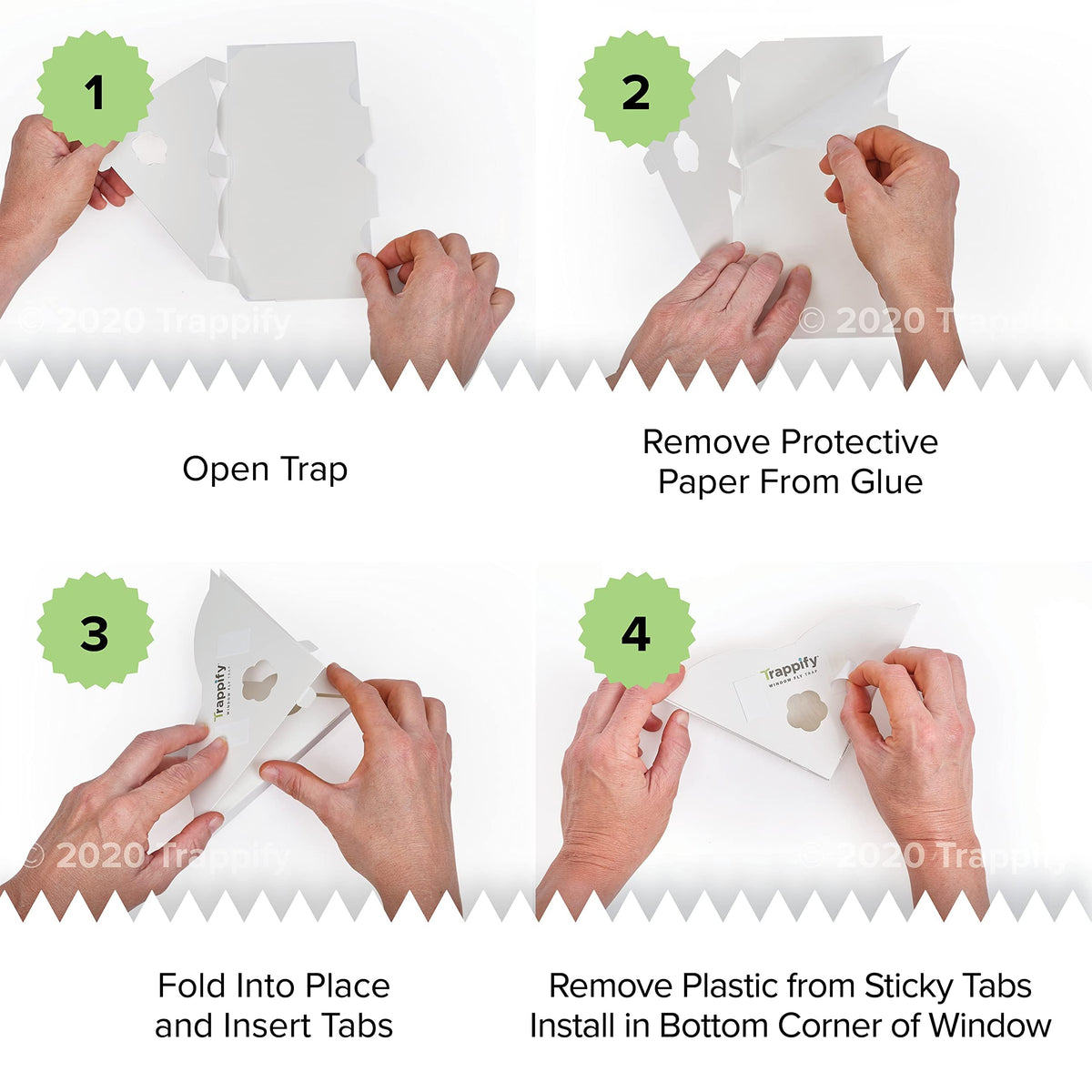Trappify window trap catching fruit flies and gnats in real-life home settings.