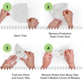 Trappify window trap catching fruit flies and gnats in real-life home settings.