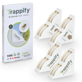 Trappify window trap mounted on glass provides discreet pest control.