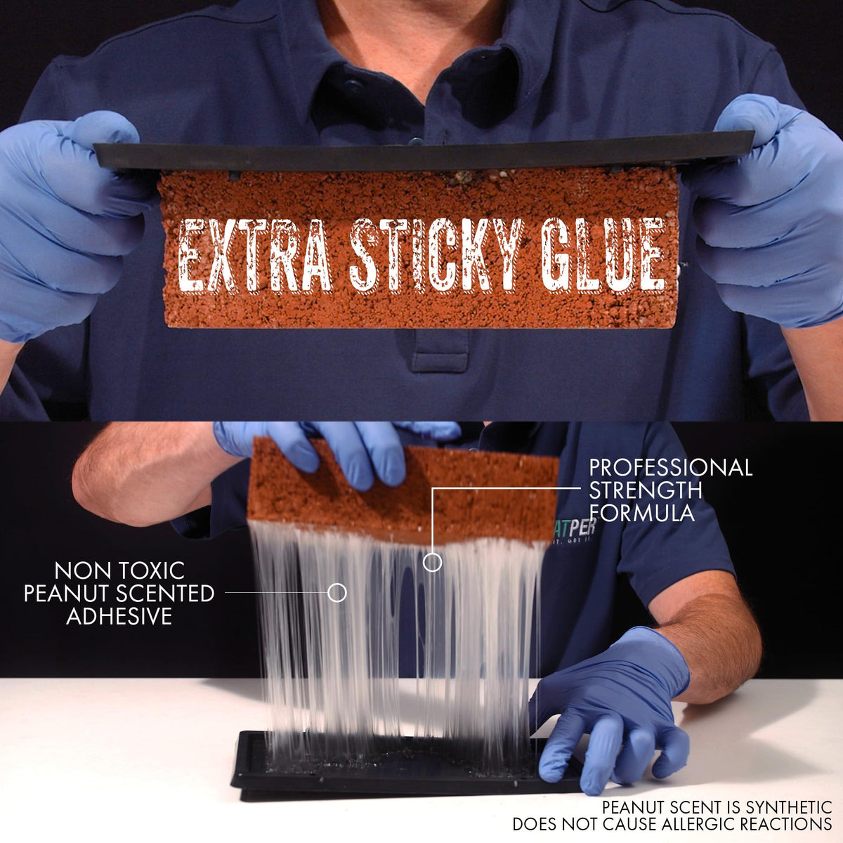 TRATPER Glue Traps with heavy-duty plastic tray for stable placement.