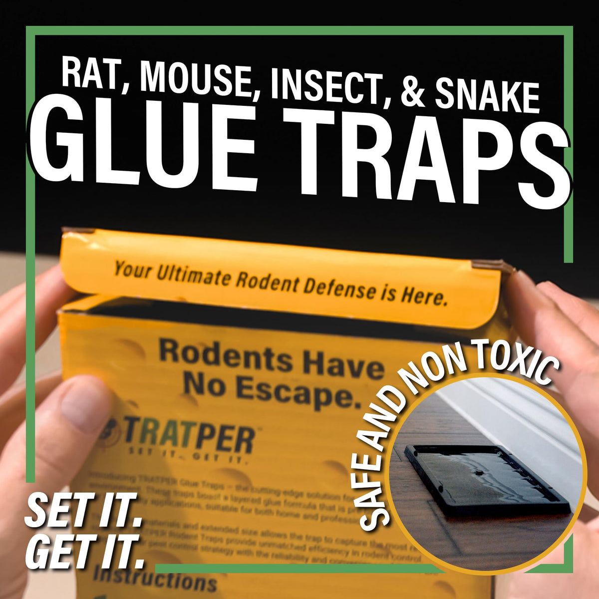 TRATPER Glue Traps are non-toxic, safe for households.