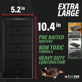 TRATPER Glue Traps prebaited with peanut butter scent for easy deployment.