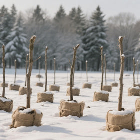 TravLand burlap roll suitable for crafts and eco-friendly festival projects.